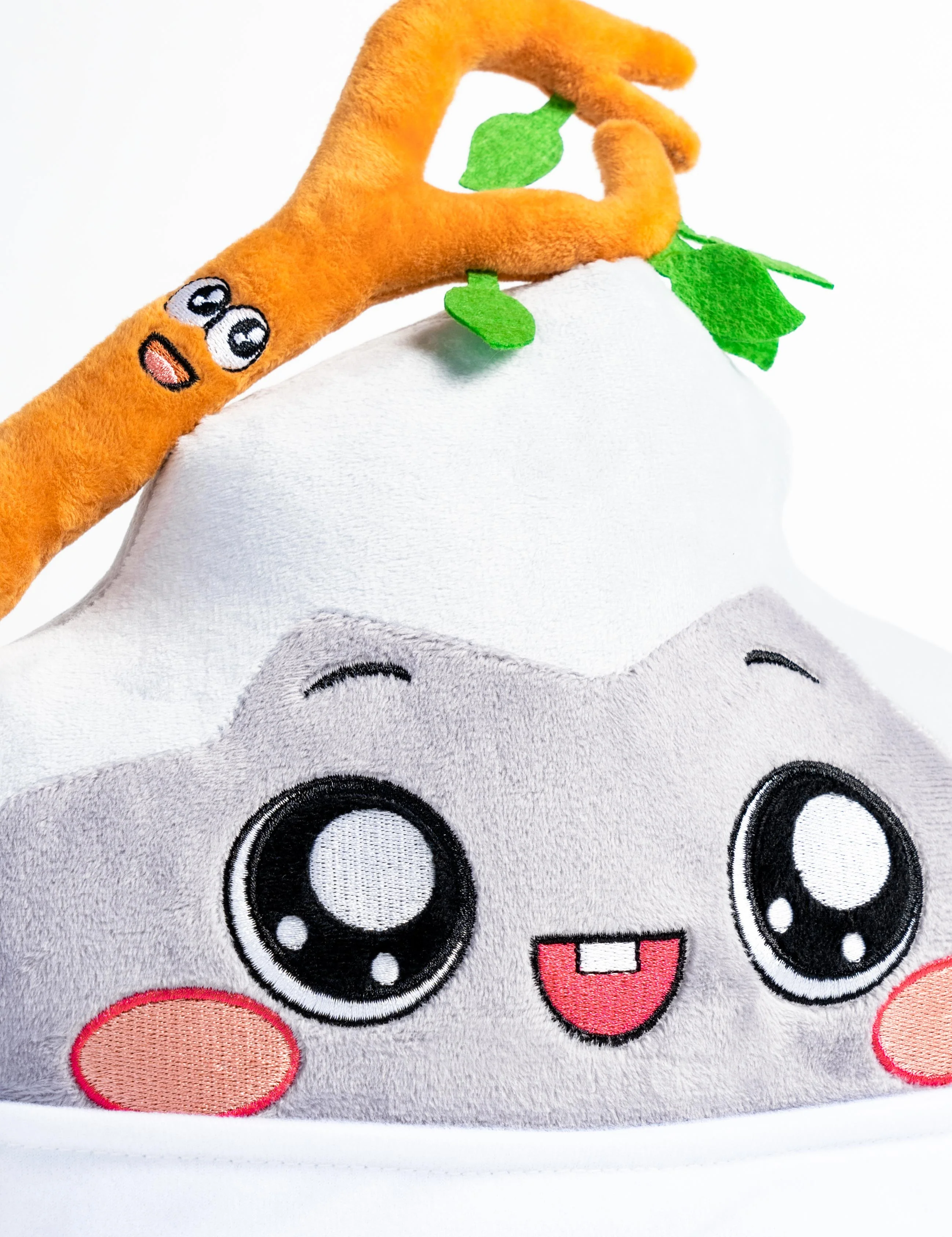 Baby Rocky n’ Sticky - Image 3
